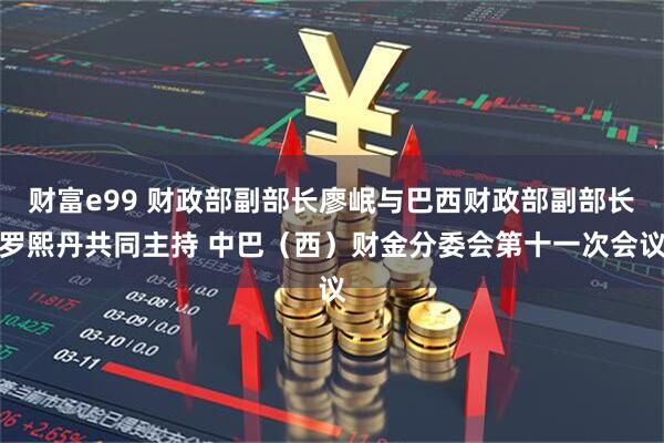 财富e99 财政部副部长廖岷与巴西财政部副部长罗熙丹共同主持 中巴（西）财金分委会第十一次会议
