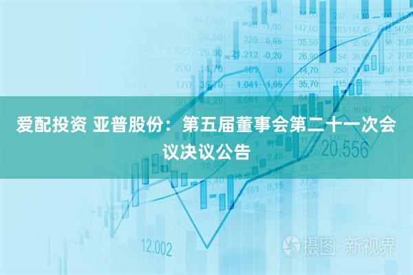 爱配投资 亚普股份：第五届董事会第二十一次会议决议公告