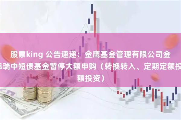 股票king 公告速递：金鹰基金管理有限公司金鹰添瑞中短债基金暂停大额申购（转换转入、定期定额投资）
