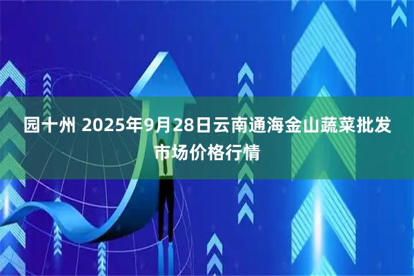 园十州 2025年9月28日云南通海金山蔬菜批发市场价格行情