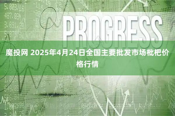 魔投网 2025年4月24日全国主要批发市场枇杷价格行情