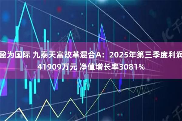 盈为国际 九泰天富改革混合A：2025年第三季度利润41909万元 净值增长率3081%